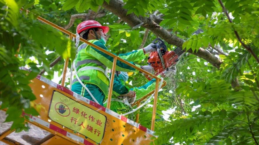 绿化养护行业发展趋势展望